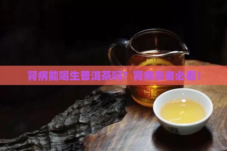 肾病能喝生普洱茶吗 肾病能喝生普洱茶吗
