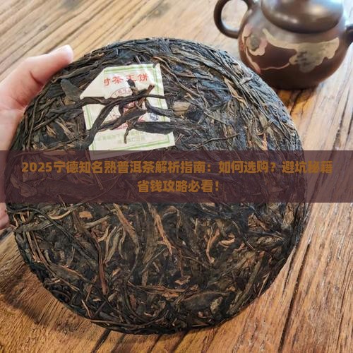 宁德知名熟普洱茶