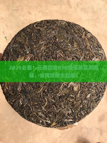 云南勐海810普洱茶