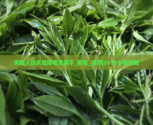失眠人白天能喝普洱茶不