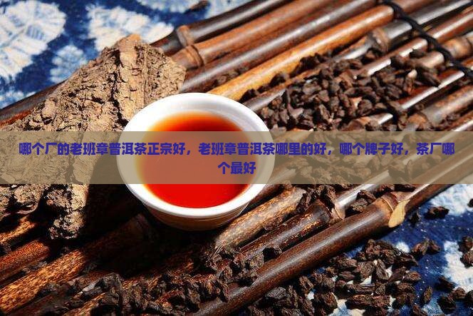 哪个厂的老班章普洱茶正宗好