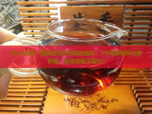 昔归古树茶的由来