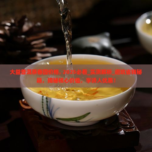 大益普洱茶春园价格