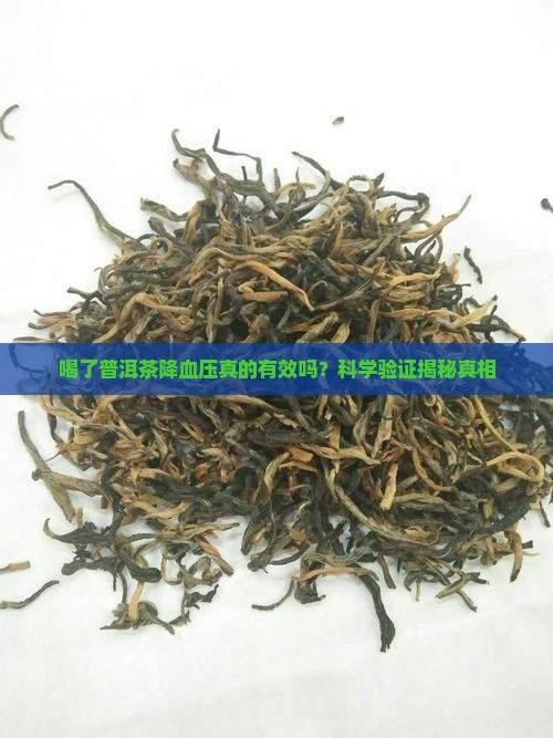 喝了普洱茶降血压