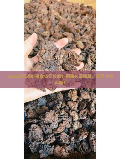 成都哪里茶叶批发好