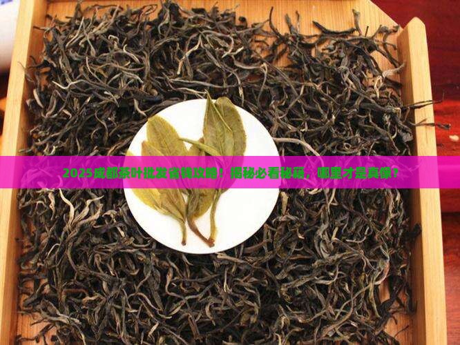 成都哪里茶叶批发好