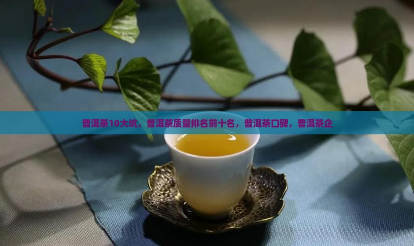 普洱茶10大坑