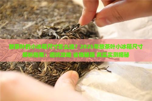 放茶叶的小冰箱尺寸