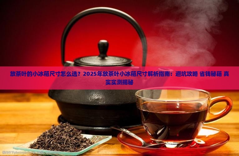 放茶叶的小冰箱尺寸