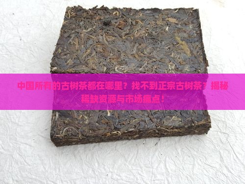 中国所有的古树茶都在哪里
