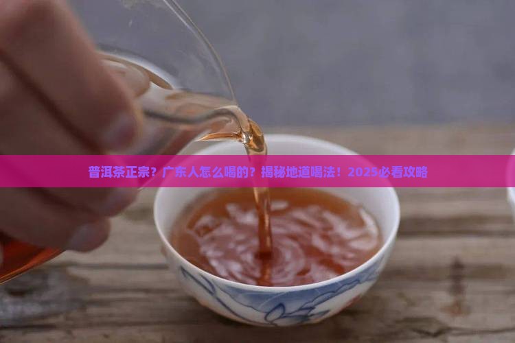 普洱茶正宗广东话