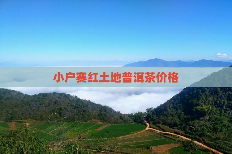 小户赛红土地普洱茶价格