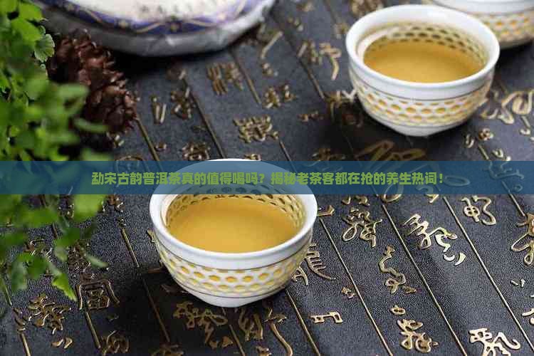勐宋古韵普洱茶