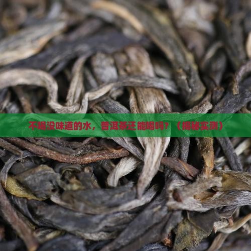 不喝没味道的水普洱茶能喝吗