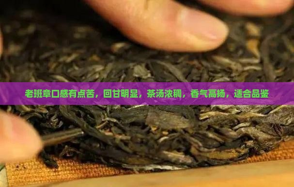 老班章口感有点苦