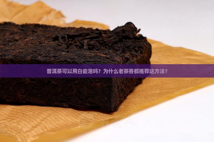 普洱茶可以用白瓷泡吗为什么