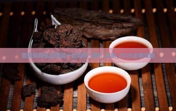 普洱茶和乳酸菌能一起吃吗