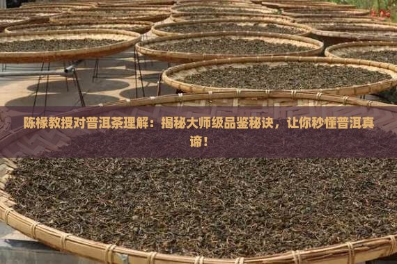 陈椽教授对普洱茶理解