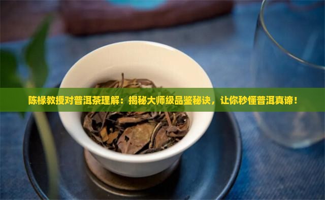 陈椽教授对普洱茶理解