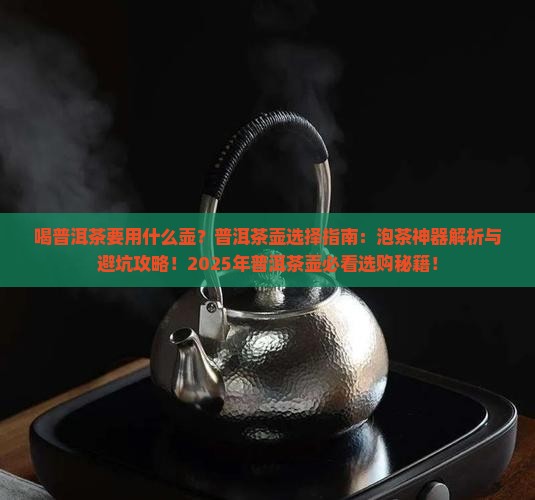 喝普洱茶要用什么壶