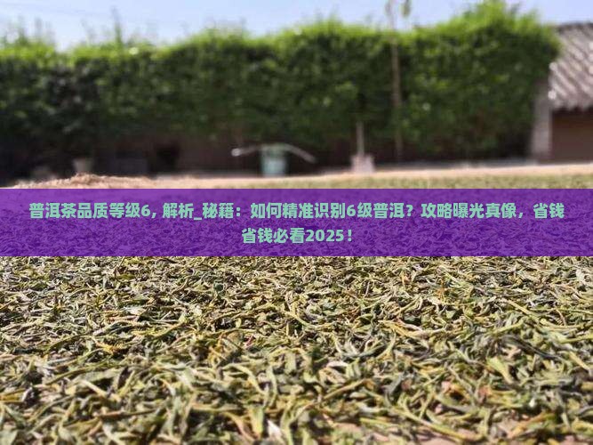 普洱茶品质等级6