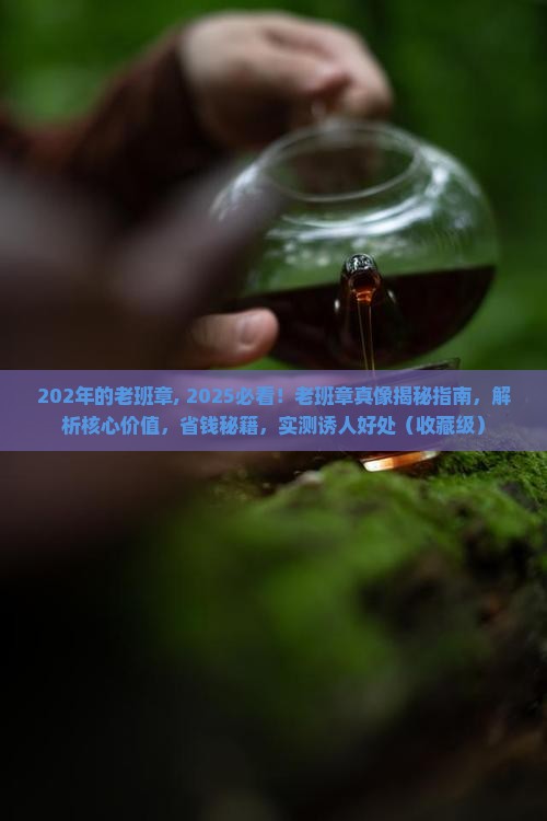 202年的老班章