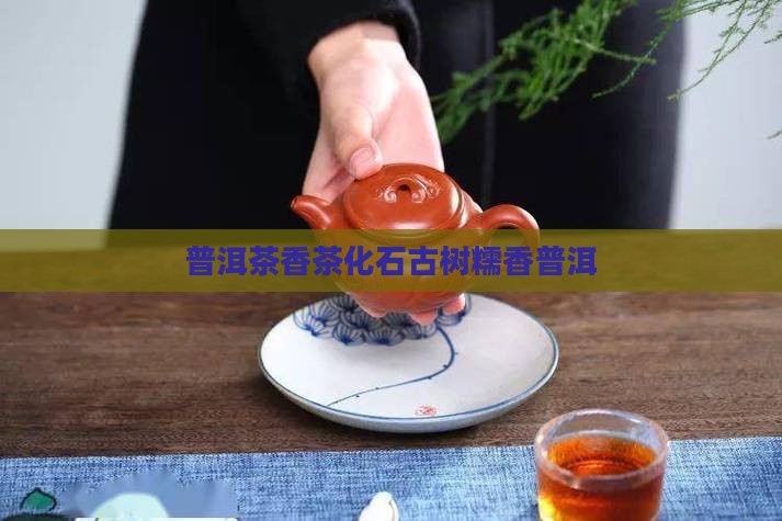 懦香普洱茶香茶化石