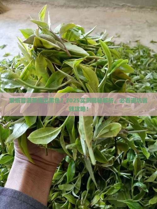 紫娟普洱茶泡出来是黑色的