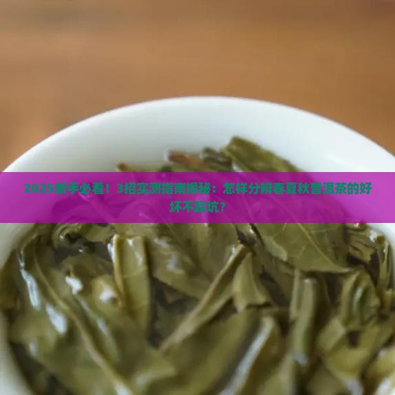 怎样分辨春夏秋普洱茶的好坏