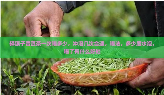 碎银子普洱茶一次喝多少