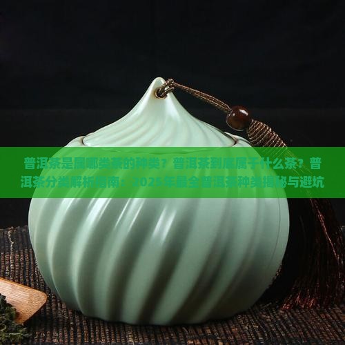 普洱茶是属哪类茶的种类