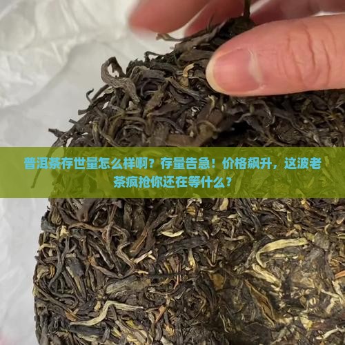 普洱茶存世量怎么样啊多少钱