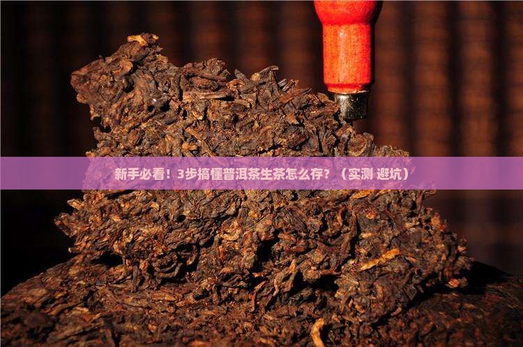 普洱茶生茶怎么存