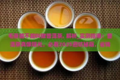 毛茶能不能叫做普洱茶