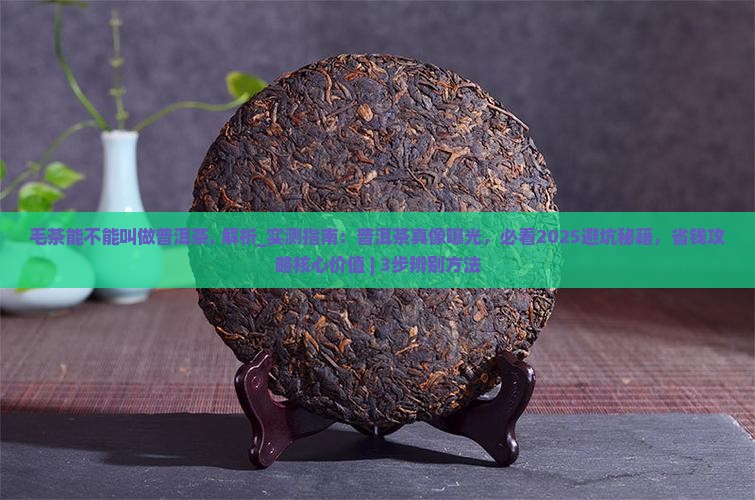 毛茶能不能叫做普洱茶