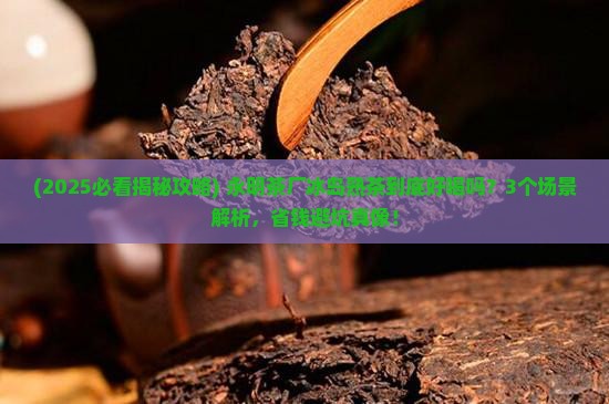 永明茶厂冰岛熟茶