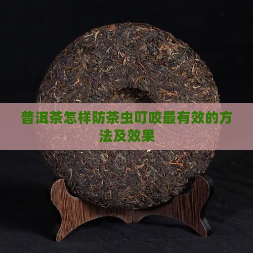 普洱茶怎样防茶虫叮咬最有效