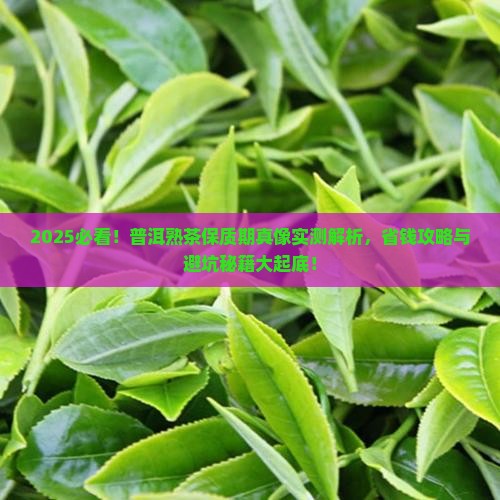 普洱茶熟茶保质期吗