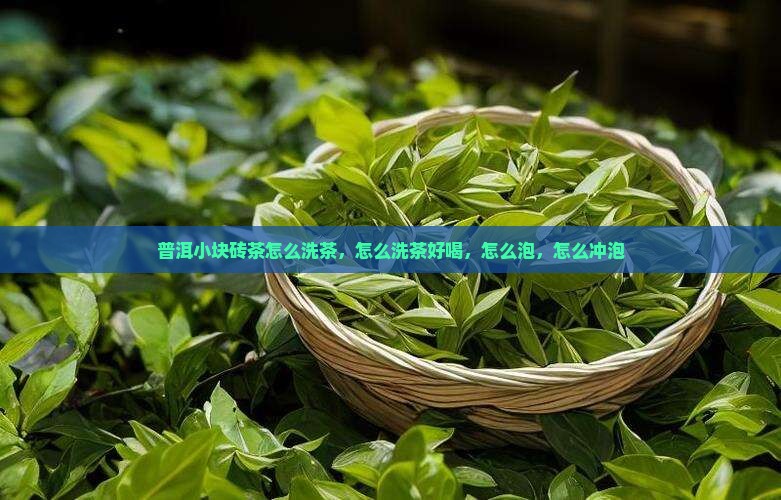 普洱小块砖茶怎么洗茶