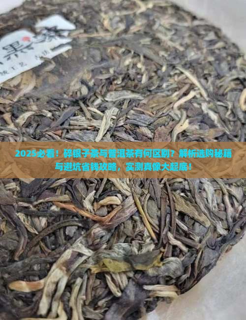 碎银子茶和普洱的区别在哪里