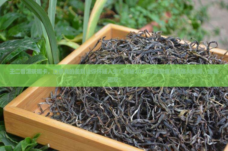 王二普洱茶娜卡