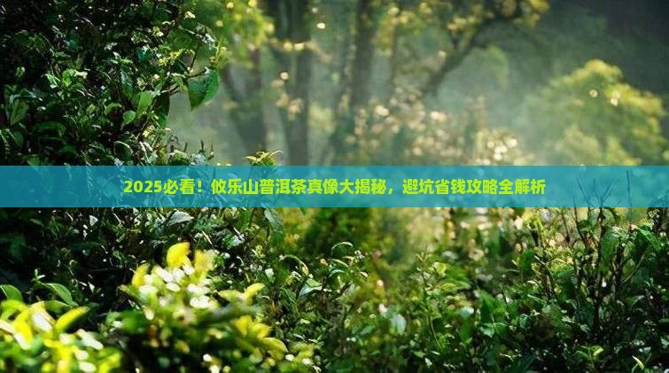攸乐山普洱茶都有哪些