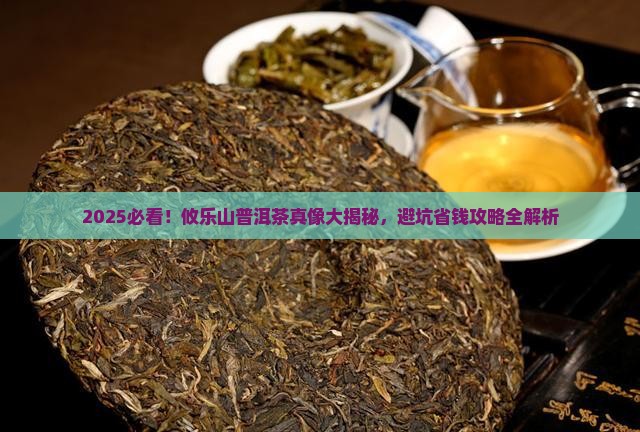 攸乐山普洱茶都有哪些