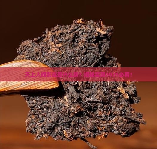 天上人间是什么茶 天上人间是什么茶