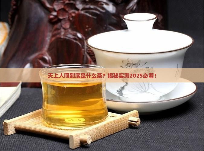 天上人间是什么茶 天上人间是什么茶
