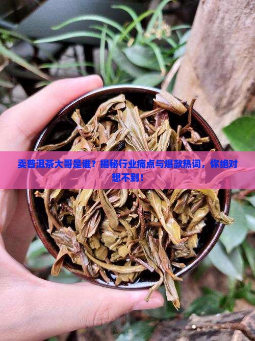 卖普洱茶大哥是谁