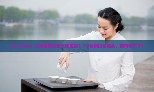 糯米香普洱茶是哪里的