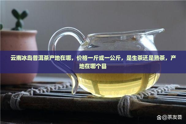 云南冰岛普洱茶产地在哪