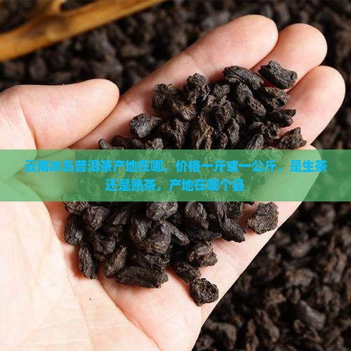 云南冰岛普洱茶产地在哪