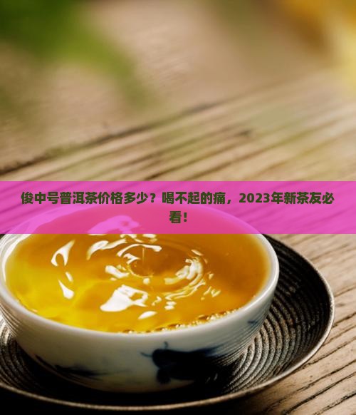 俊中号普洱茶价格